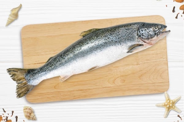 Atlantic Salmon 500g