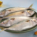 Mackerel 500g