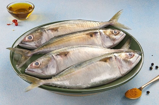 Mackerel 500g