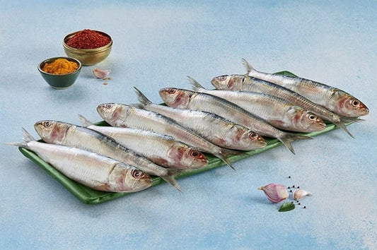 Sardine 500g