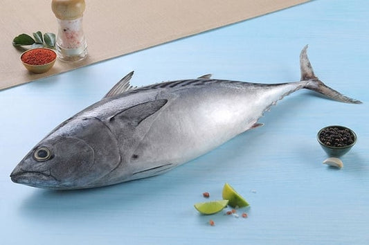Tuna 500g